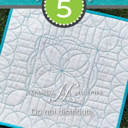 Wholecloth Quilting Ideas: Block 5